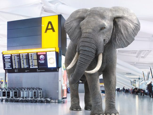 Heathrow Airport’s "Elephant" campaign to highlight sustainability initiatives.