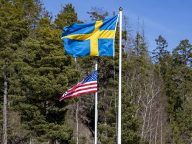 Swedish us flags