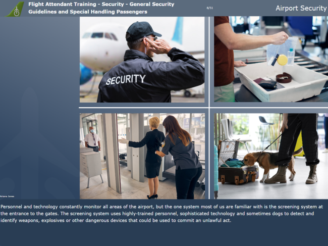 Cabin Crew Safety Course-Security.png